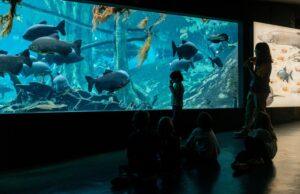 Actividades familiares en el cosmocaixa