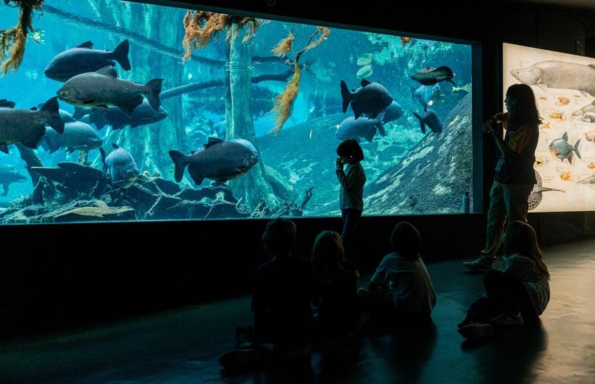 Actividades familiares en el cosmocaixa