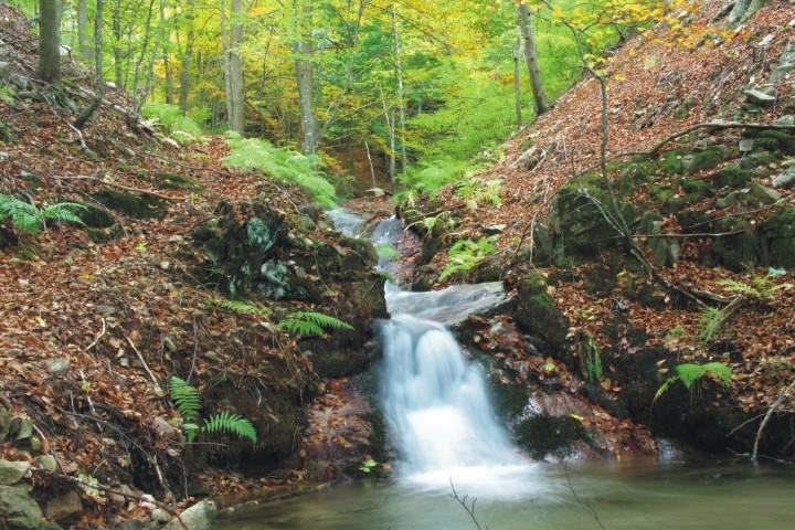 Arbucies y el montseny gironi