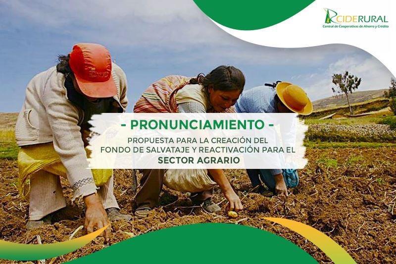 El cooperativismo agricola en la noguera