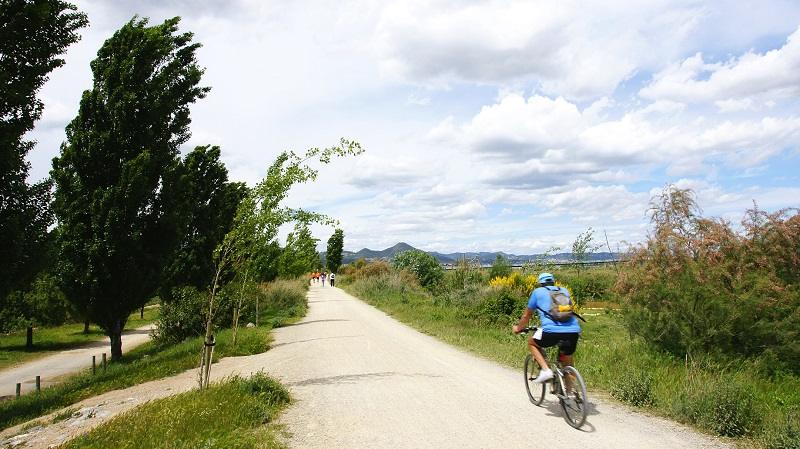 El parque fluvial del besos en sant adria te sorprendera con sus paisajes