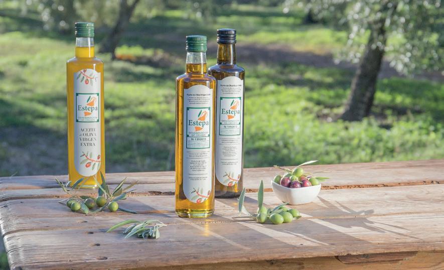 El secreto del aceite de oliva de siurana que todos deberian probar