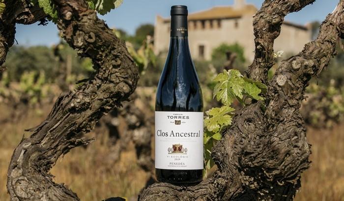 El vino del penedes y su importancia cultural