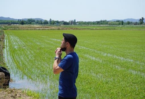 En pals cultivan arroz que tiene un sabor unico en el mundo