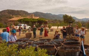Festival del vino do emporda en peralada