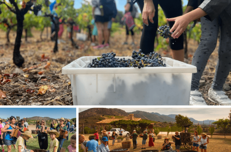 Fiesta de la vendimia en emporda