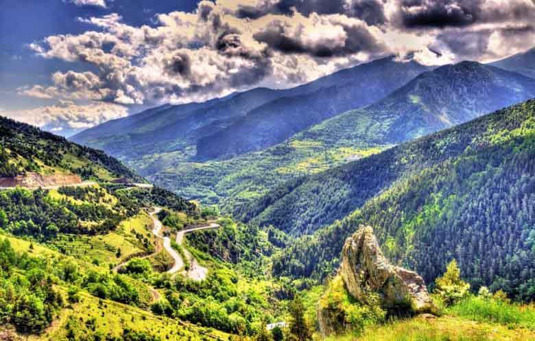 Sabias que en el parque natural del alto pirineo se encuentran mas de 1 000 especies de plantas