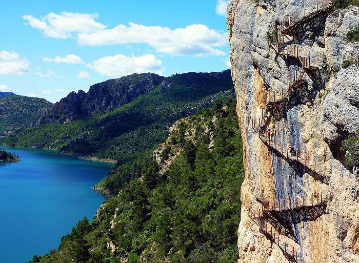 Sabias que en la comarca de la ribagorca se pueden encontrar fosiles de hace mas de 100 millones de anos