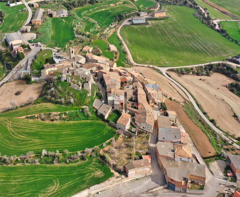 Estratègies efectives per combatre el despoblament als municipis rurals
