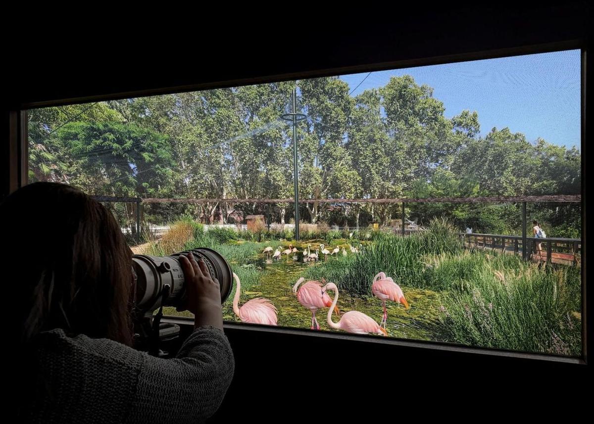 Concurso Creativo: Diseña el Nuevo Centro de Biodiversidad del Zoo