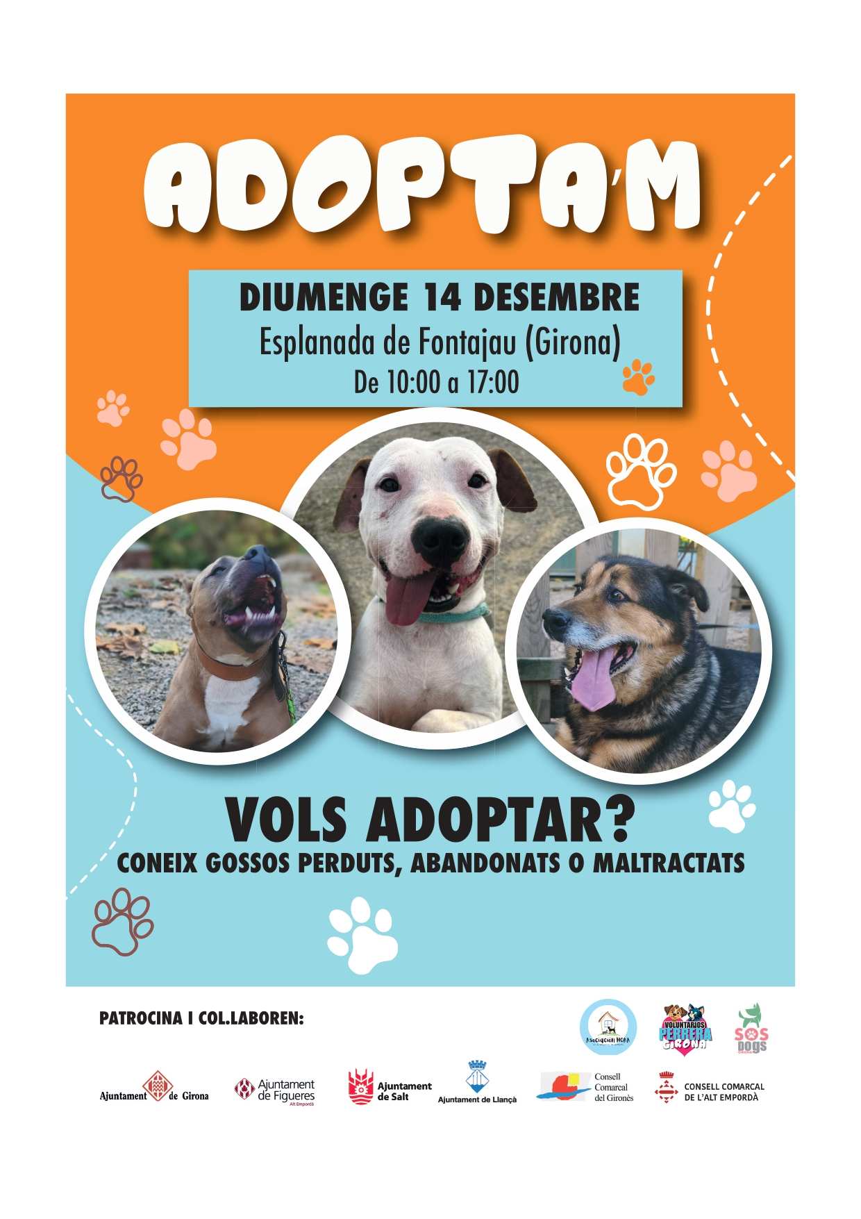 Girona impulsa una iniciativa para promover la adopción de perros del centro de acogida de la Devesa