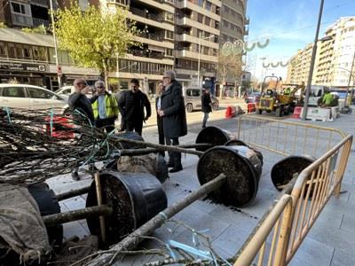 Finalización de obras en Balmes y Rovira Roure: ¡21 nuevos árboles embellecen la zona!