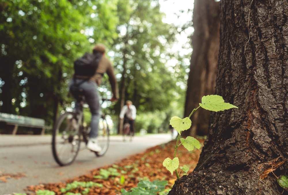 Girona impulsa la ecología urbana y las infraestructuras verdes para un municipio más sostenible