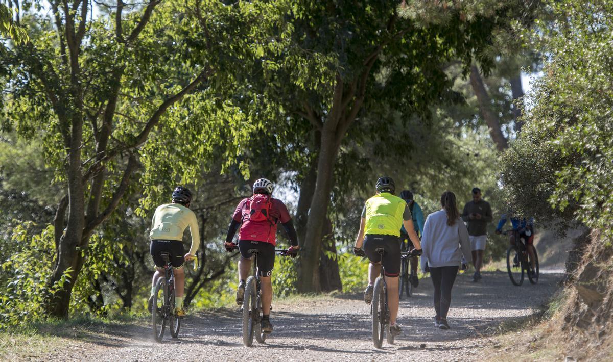 Collserola reabre para actividades al aire libre: ¡solo grupos de menos de 10 personas!