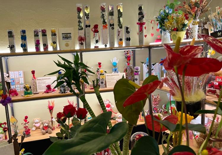 La floristeria de Girona