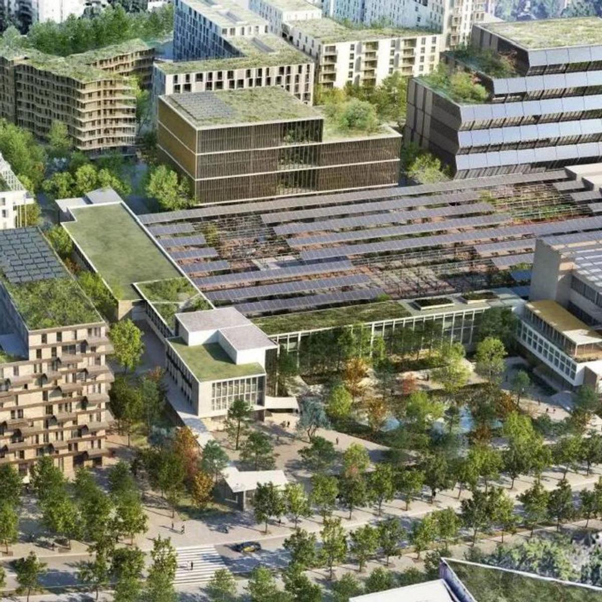 Descubre el Jardín Urbano con Lago Renovado y Seis Espacios Únicos para Disfrutar