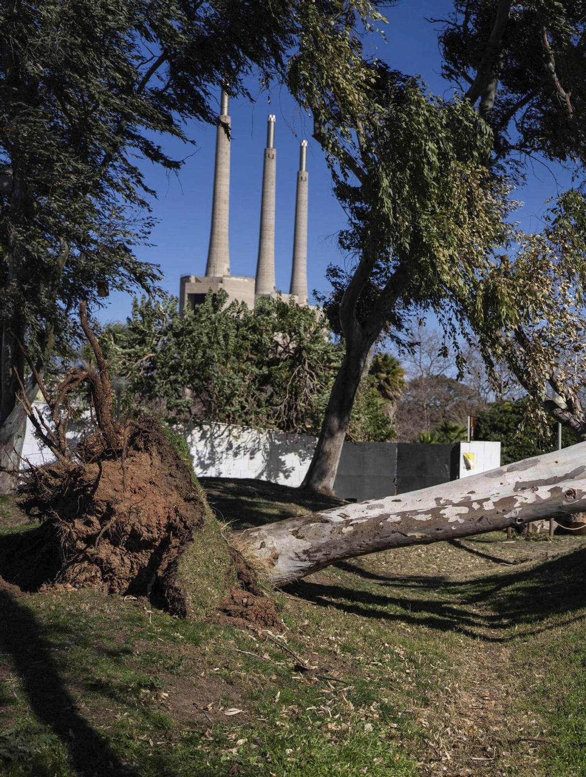 Descubren residuos tóxicos cerca de las Tres Chimeneas: Impacto ambiental y soluciones