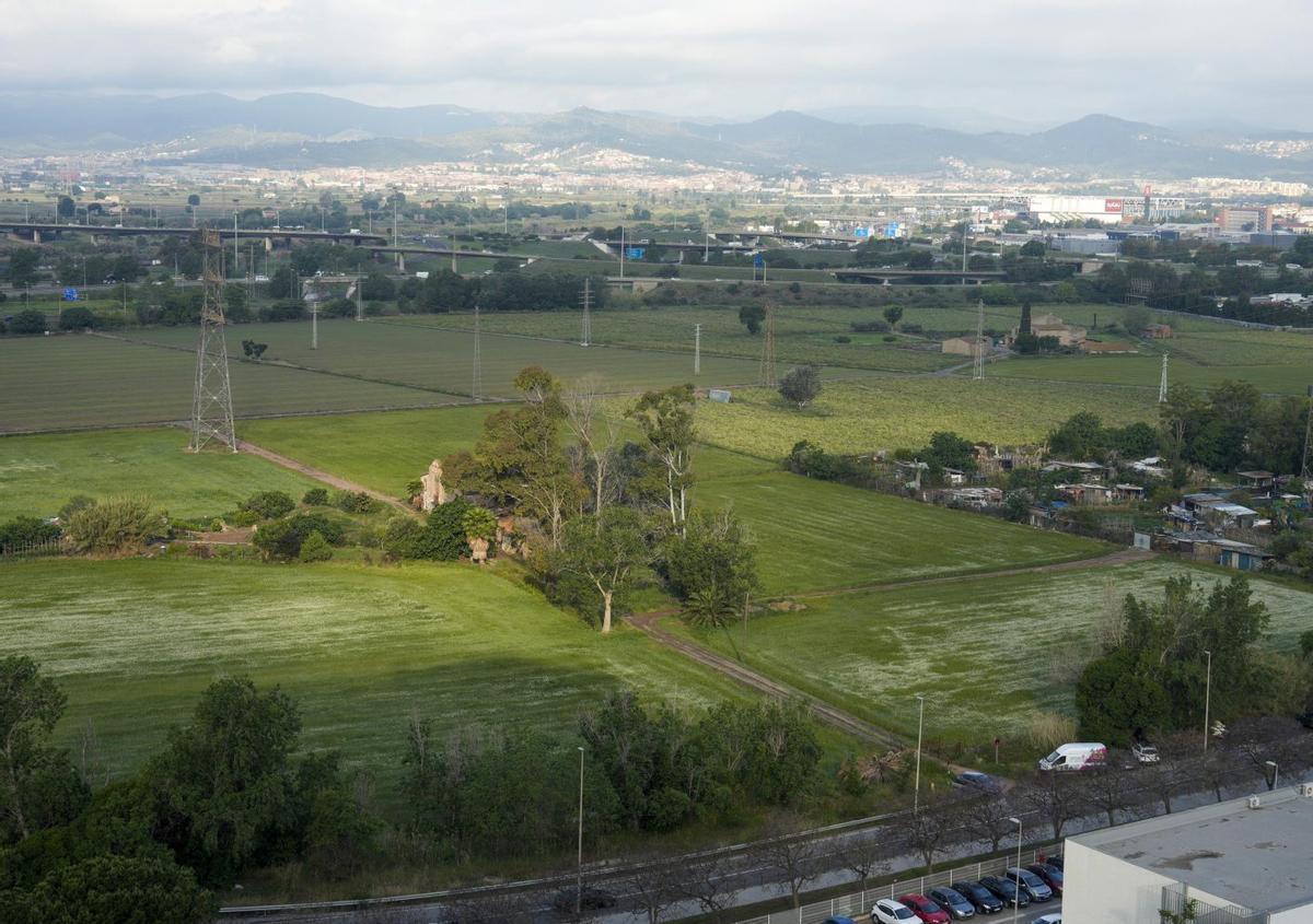 Reviviendo la Memoria Agrícola: Un Viaje a Nuestras Raíces Culturales