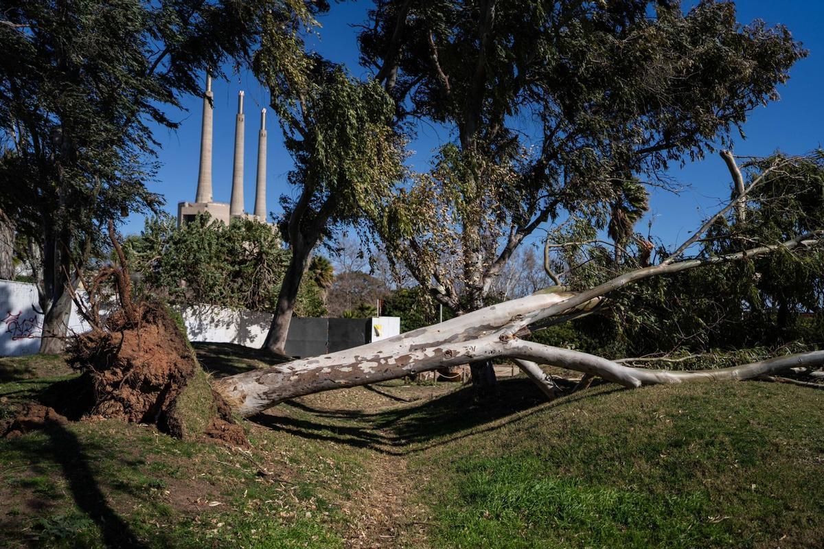 Contaminants tòxics ocultos en el parc junto a las Tres Chimeneas del Besòs: un problema ambiental alarmante