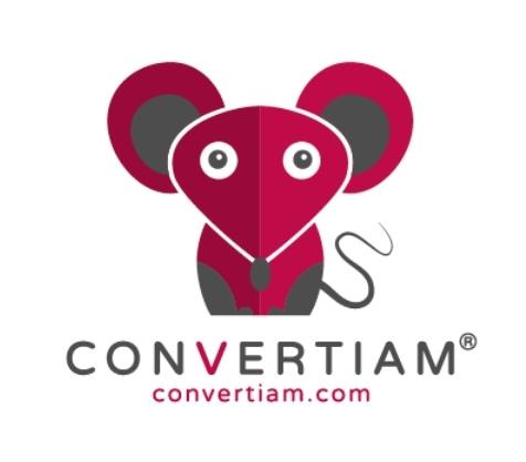 Convertiam agencia marketing digital