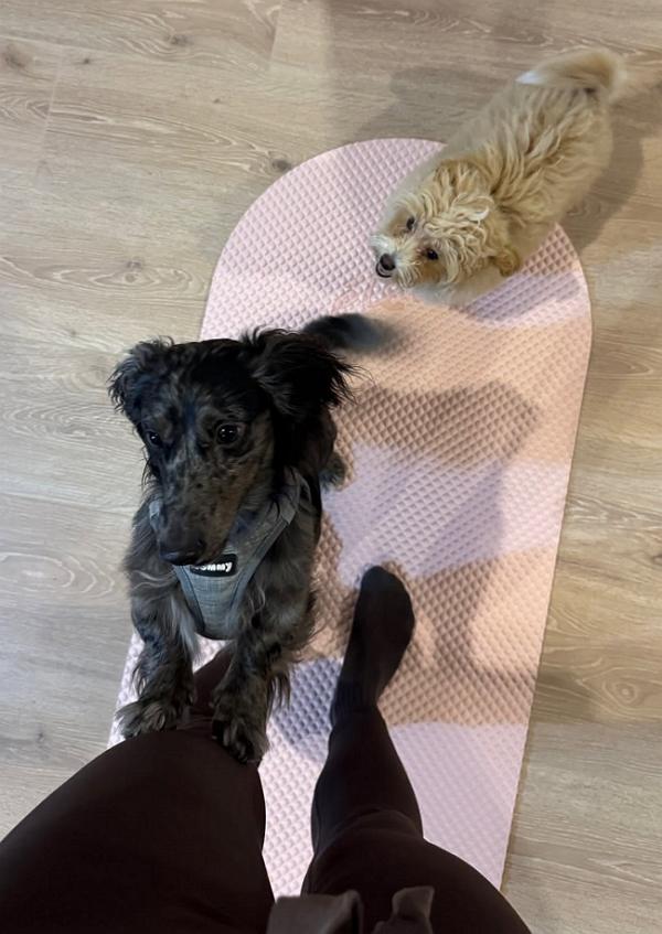 Puppy Barre