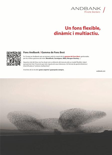 Aymara ads