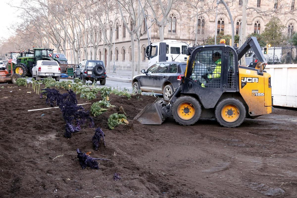 Tráfico complicado en Barcelona este sábado: cortes de calles por obras, manifestaciones de Rodalies y celebración del Año Nuevo Chino.