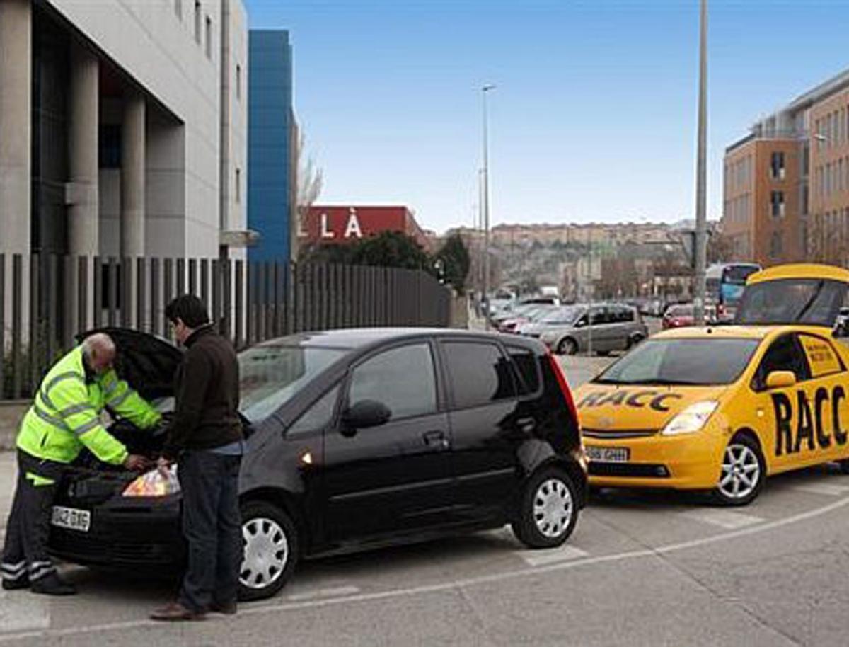 RACC: Estrategias de Diversificación de Servicios para un Futuro Sostenible