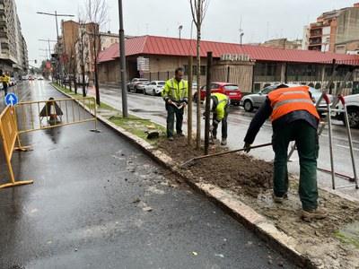 Plantación de 500 árboles en barrios: un invierno verde para nuestra ciudad