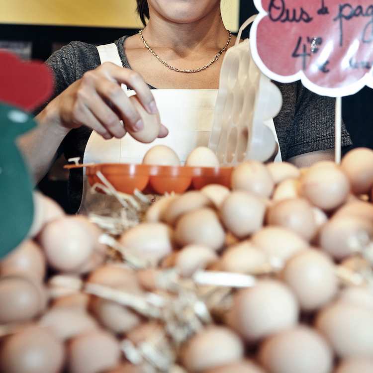 "Descubre el Desafío 'Jo CoCo': El Compromiso del Ayuntamiento de Girona por un Consumo Responsable y un Futuro Sin Residuos"