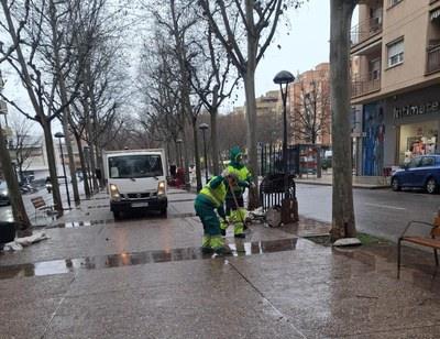 Lleida: Revisión del Arbolado en el Recorrido de la Rúa de Carnaval para Asegurar la Seguridad de los Participantes