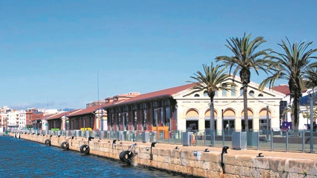 Rehabilitación de fachadas en los tinglados del Moll de Costa: Proyecto
