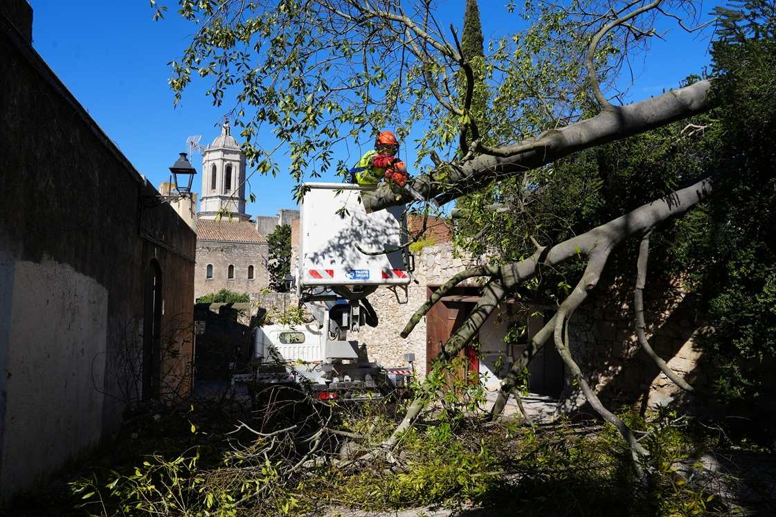 188 Acciones del Ayuntamiento de Girona ante las Fuertes Ráfagas de Viento del Domingo