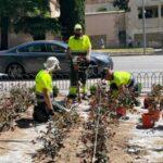 Paeria analiza la posibilidad de soterrar el aparcamiento del Rectorat y crear un espacio verde superior