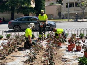 Paeria analiza la posibilidad de soterrar el aparcamiento del Rectorat y crear un espacio verde superior