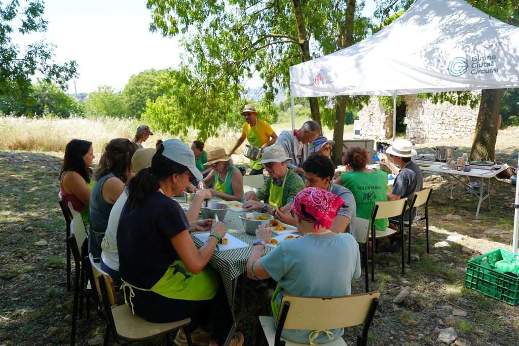 Espigolada a Montjuïc: Conviértete en Artista de la Melmelada con las Prunes del Arbrat Urbà en Girona