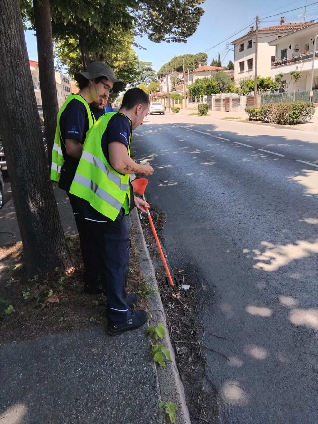 Campanya Anual de Control del Mosquit Tigre a Girona: Todo lo que Necesitas Saber