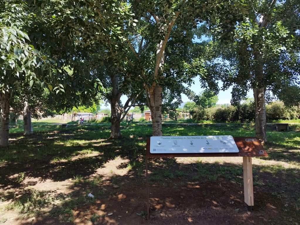Descubre las Plantas Silvestres Comestibles de las Hortes de Santa Eugènia con los Nuevos Paneles Informativos del Ayuntamiento
