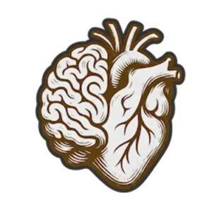 D Mendez Psicologia Psicologo en Sant Feliu de Llobregat