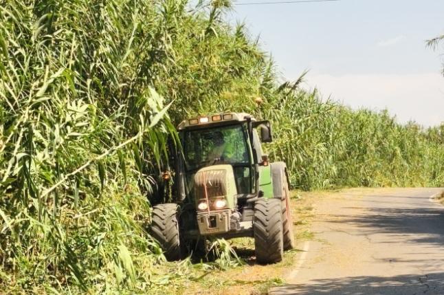 Desbroce en los Arcenes de los Caminos de l’Horta