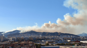 Emergencia en el Ayuntamiento: Activa el Plan de Actuación Municipal ante Riesgo de Incendios Forestales