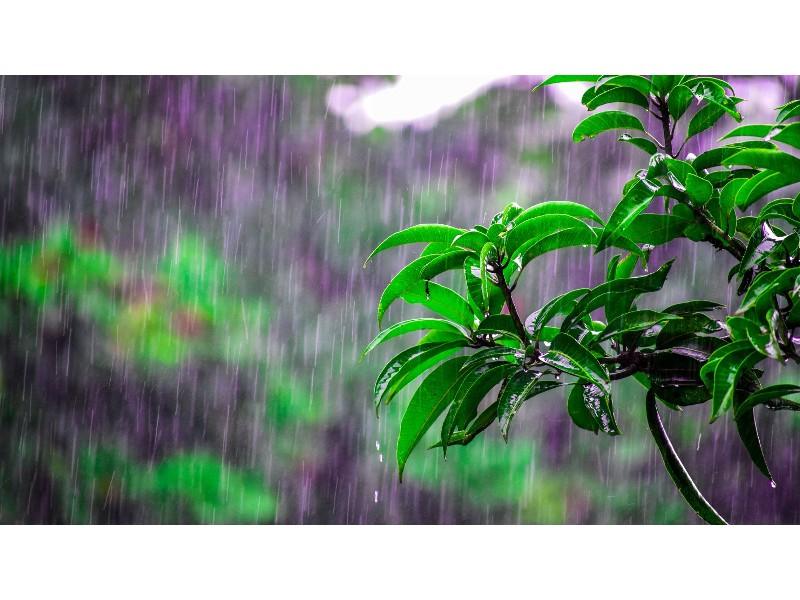 Milloren les previsions de pluja intensa per dimarts: consells per a la seguretat
