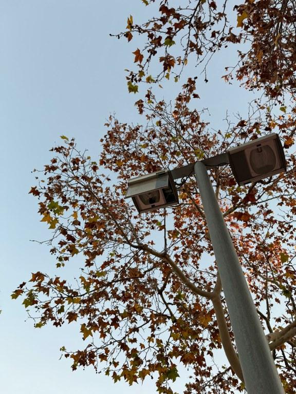 Inician los trabajos de renovación del alumbrado en Monnars Solimar