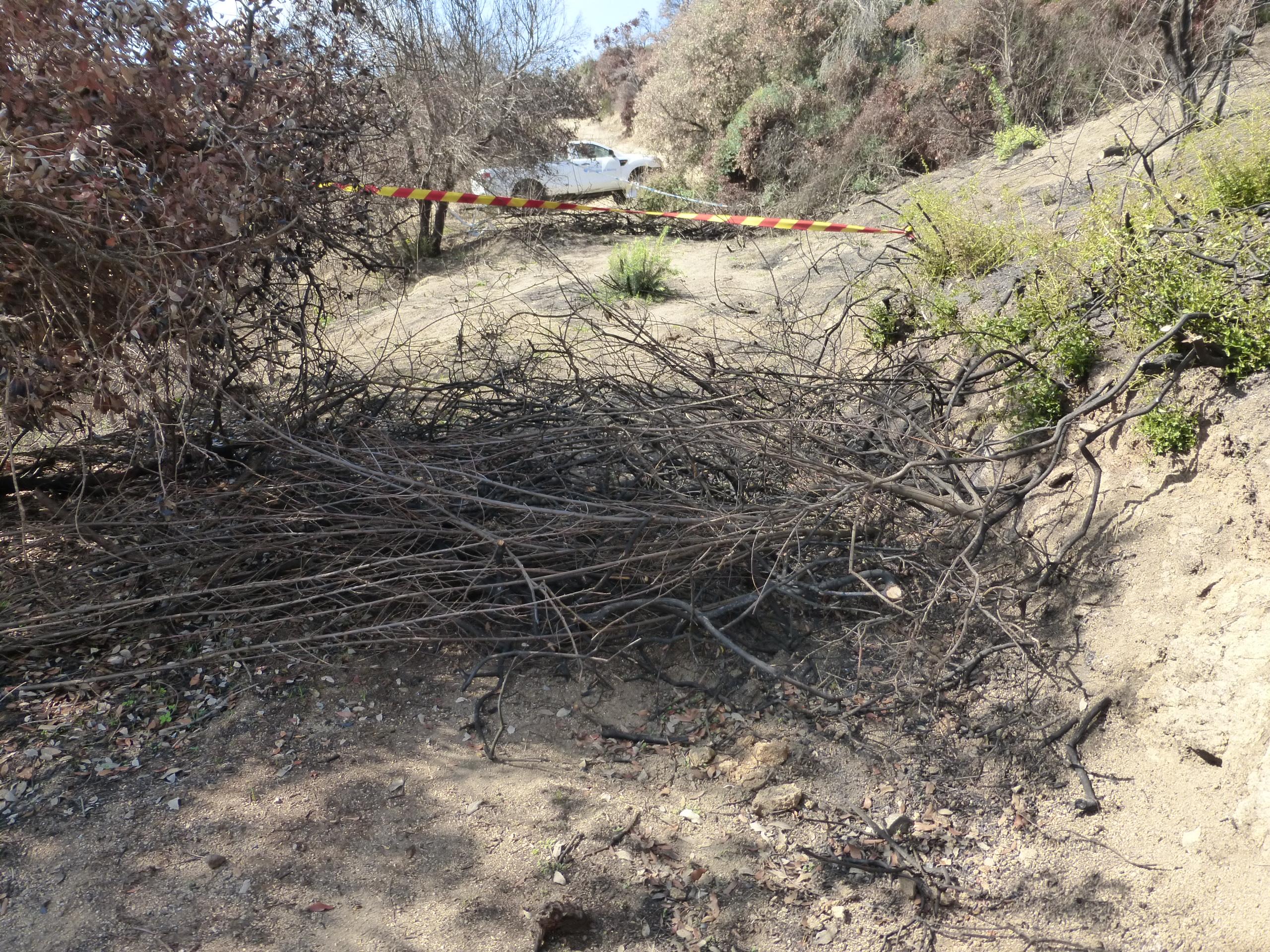 El Parc de la Serralada de Marina refuerza la protección de la zona quemada de Tiana tras detectar la apertura de trialeras